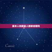 属羊人和属鼠人能够结婚吗，女鼠男羊大可以在一起