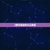 3眼天珠适合什么属相，天珠属相匹配