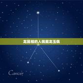 龙属相的人佩戴龙玉佩，请问，本人属龙，佩戴什么玉器较好？