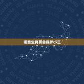 哪些生肖男会保护小三，男友比我小三岁，他属蛇，我属虎，他家人说我们俩属