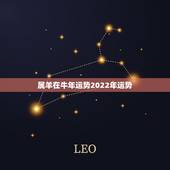 属羊在牛年运势2022年运势，属羊2022年运势完整版