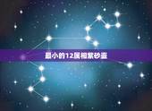 最小的12属相紫砂壶，御福轩12生肖紫砂壶多少钱一个
