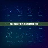 2022年出生的牛宝宝是什么命，2022虎年生男好还是女好