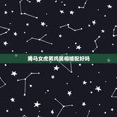 男马女虎男鸡属相婚配好吗，属马和属龙相配吗？