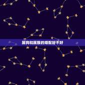 属狗和属猴的婚配好不好，属猴的和什么属相最配