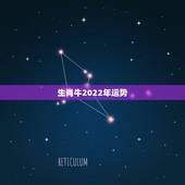 生肖牛2022年运势，2022年哪些生肖运势好今天什么生肖最旺财