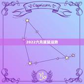 2022六月属鼠运势，1996年农历六月二十七今年的运势