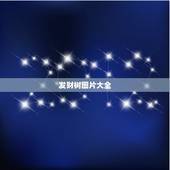 发财树图片大全，发财树图片，是否有毒