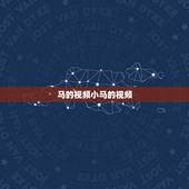 马的视频小马的视频，赛马视频大全视频高清