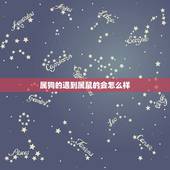 属狗的遇到属鼠的会怎么样，属狗的跟属鼠的合不合