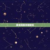 属龙和属羊相配吗，生肖龙跟羊合适吗
