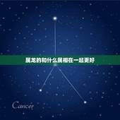 属龙的和什么属相在一起更好，属龙和其他属相的关系