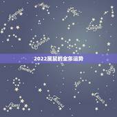 2022属鼠的全年运势，72年属鼠49岁大运以后运势