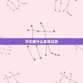 今天属什么生肖日历，农历日历怎样查当日属什么生肖？