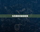 生肖属蛇的最佳配偶，属蛇的和什么属相最配 揭秘最佳婚配表