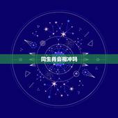 同生肖会相冲吗，亲兄弟同一个生肖属相会有相克的地方吗？