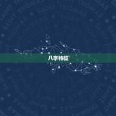八字特征，若是，的八字怎么看
