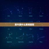 属牛跟什么属相最配，属牛女跟什么属相最配