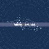 免费紫微斗数双人合盘，紫微斗数看婚姻男女合盘 答得详细加分！谢谢