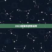 2022属猪的感情运势，属猪的2021年运势怎么样