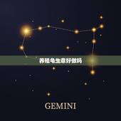 养殖龟生意好做吗，做生意店内养小乌龟好不好