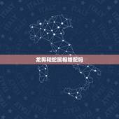 龙男和蛇属相婚配吗，男龙和女蛇相配吗？