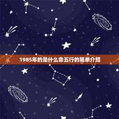 1985年的是什么命五行的简单介绍