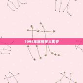 1995年属相多大周岁，93年属鸡的今年虚岁是多少sh岁
