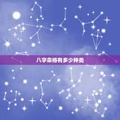 八字命格有多少种类，公元阳历1983年12月29日午时(12点45分)