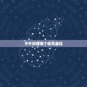 子午卯酉哪个桃花最旺，子午卯酉谁最漂亮