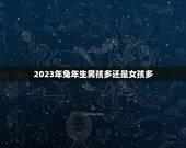 2023年兔年生男孩多还是女孩多，为什么现在生男孩的几率比生女孩的几率