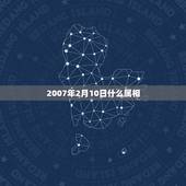 2007年2月10日什么属相，新历1977年2月10日出生生肖属什么