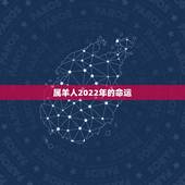 属羊人2022年的命运，2003年属羊人一生命运