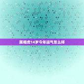属相虎14岁今年运气怎么样，属龙的和属虎的相配吗