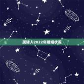 属猪人2022年婚姻状况，2022犯太岁最严重生肖