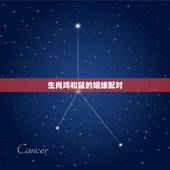 生肖鸡和鼠的姻缘配对，鼠和鸡相配婚姻如何