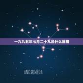 一九九五年七月二十九是什么属相，一九九七年农历五月月二十九是阳历几月几