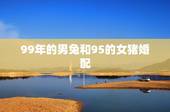 99年的男兔和95的女猪婚配，99属兔男和95属猪女配不配。