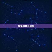 属兔忌什么属相，属兔的男人最怕什么