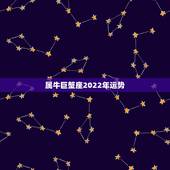 属牛巨蟹座2022年运势，属牛的巨蟹座女生 2o15运势