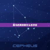 属马的男孩取什么名字好，姓张男孩取什么名字好属马