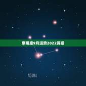 摩羯座9月运势2022苏姗，摩羯座2013年九月运势
