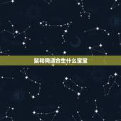 鼠和狗适合生什么宝宝，女狗男鼠夫妻生什么宝宝