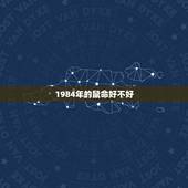 1984年的鼠命好不好，1984年顾家之鼠命运这么不好吗