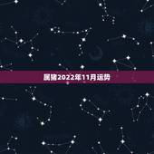 属猪2022年11月运势，属猪的2021年运势怎么样