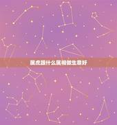 属虎跟什么属相做生意好，属虎的做生意和什么属相和