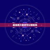 属相两只老虎可以婚配吗，属虎和属虎的相配吗