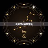属鼠今天运势如何，属鼠的人2014年财运如何