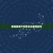 婚姻属相不和命宫合能婚配吗，属相不合的人能在一起吗？