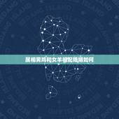 属相男鸡和女羊相配婚姻如何，男属鸡，女属羊相配婚姻吗